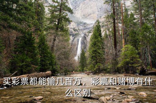 買彩票都能輸幾百萬，彩票和賭博有什么區(qū)別