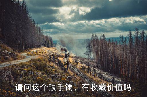 請問這個銀手鐲，有收藏價值嗎