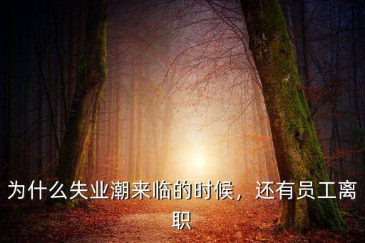 為什么失業(yè)潮來臨的時(shí)候，還有員工離職