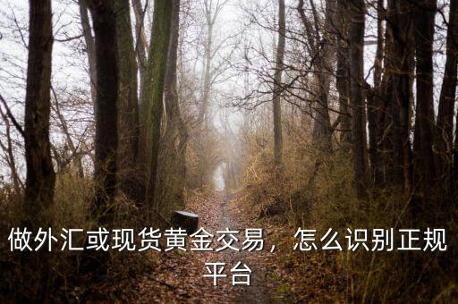 做外匯或現(xiàn)貨黃金交易，怎么識別正規(guī)平臺