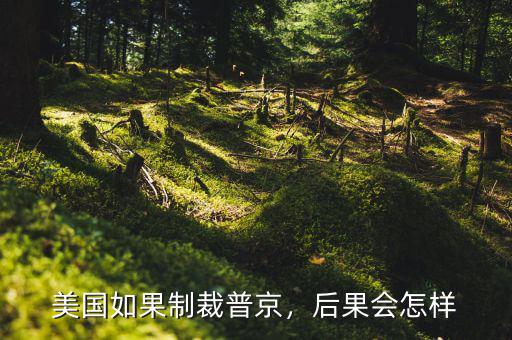 美國如果制裁普京，后果會(huì)怎樣