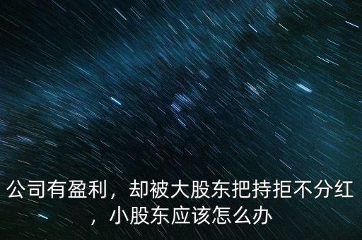 公司有盈利，卻被大股東把持拒不分紅，小股東應(yīng)該怎么辦