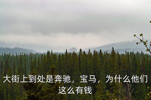 大街上到處是奔馳，寶馬，為什么他們這么有錢