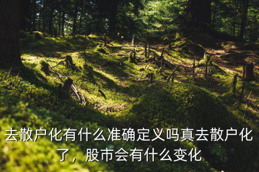 去散戶化有什么準(zhǔn)確定義嗎真去散戶化了，股市會有什么變化