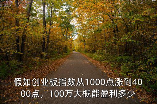 假如創(chuàng)業(yè)板指數(shù)從1000點漲到4000點，100萬大概能盈利多少