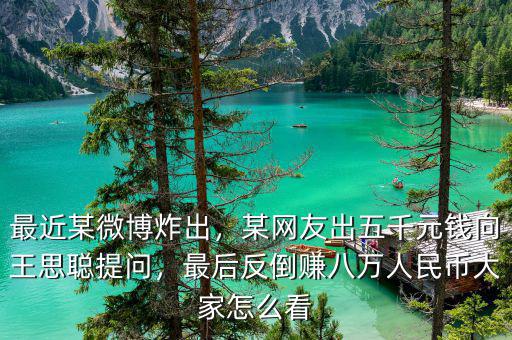 最近某微博炸出，某網(wǎng)友出五千元錢向王思聰提問，最后反倒賺八萬人民幣大家怎么看