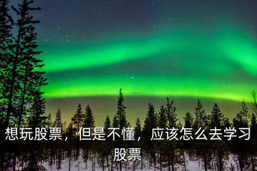 想玩股票，但是不懂，應(yīng)該怎么去學(xué)習(xí)股票