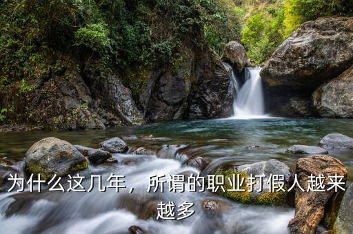 為什么這幾年，所謂的職業(yè)打假人越來越多