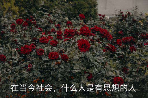 在當(dāng)今社會(huì)，什么人是有思想的人