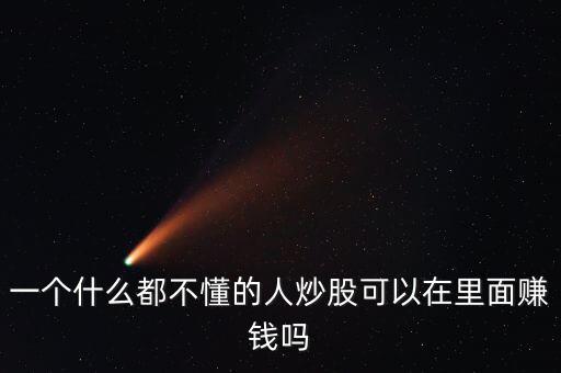 一個(gè)什么都不懂的人炒股可以在里面賺錢(qián)嗎