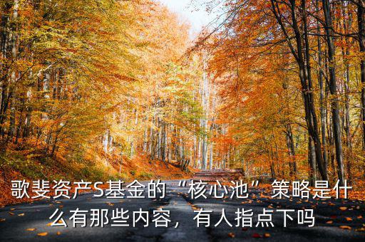 歌斐資產(chǎn)S基金的“核心池”策略是什么有那些內(nèi)容，有人指點下嗎