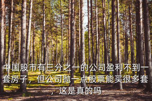中國股市有三分之一的公司盈利不到一套房子，但公司拋一點股票能買很多套，這是真的嗎