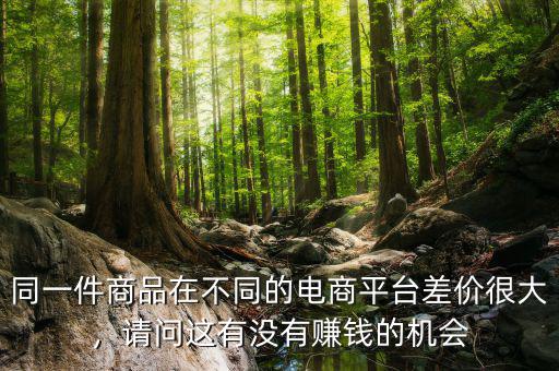 同一件商品在不同的電商平臺差價很大，請問這有沒有賺錢的機會