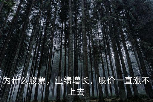 為什么股票，業(yè)績(jī)?cè)鲩L(zhǎng)，股價(jià)一直漲不上去