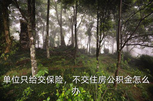 單位只給交保險，不交住房公積金怎么辦