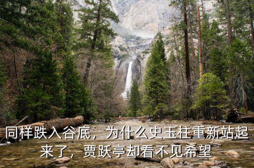 同樣跌入谷底，為什么史玉柱重新站起來了，賈躍亭卻看不見希望