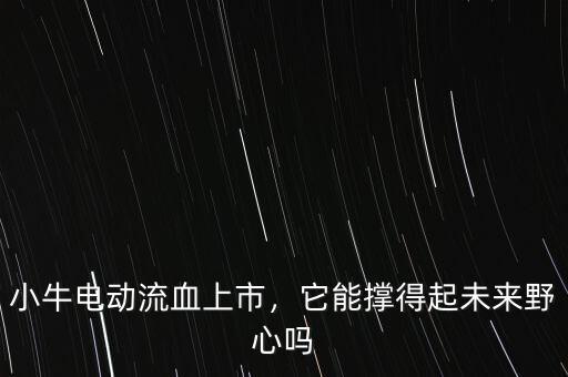 小牛電動流血上市，它能撐得起未來野心嗎