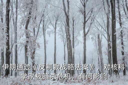 伊朗通過《反制裁戰(zhàn)略法案》，對核科學(xué)家被暗殺危機，有何影響