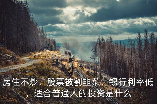 房住不炒，股票被割韭菜，銀行利率低，適合普通人的投資是什么