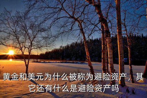 黃金和美元為什么被稱為避險(xiǎn)資產(chǎn)，其它還有什么是避險(xiǎn)資產(chǎn)嗎