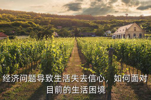 經(jīng)濟(jì)問題導(dǎo)致生活失去信心，如何面對目前的生活困境