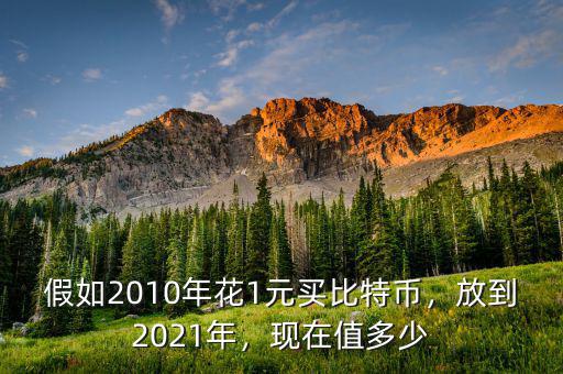 假如2010年花1元買(mǎi)比特幣，放到2021年，現(xiàn)在值多少