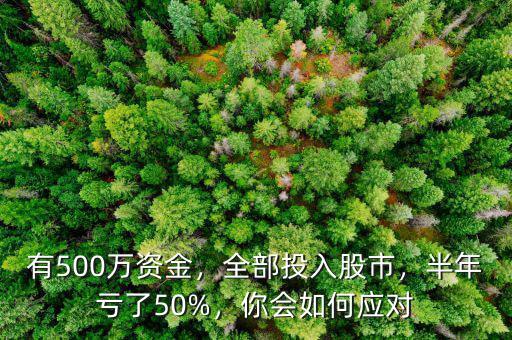 有500萬(wàn)資金，全部投入股市，半年虧了50%，你會(huì)如何應(yīng)對(duì)