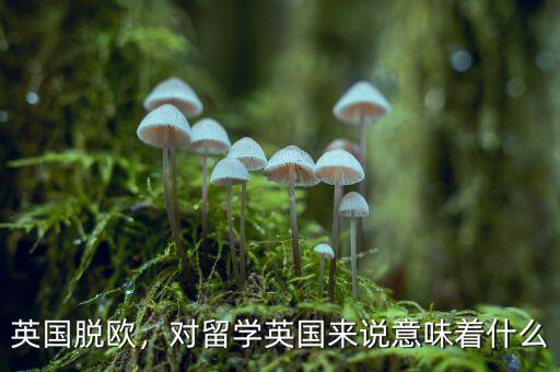 英國脫歐，對留學(xué)英國來說意味著什么