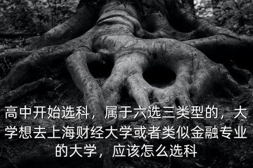 高中開始選科，屬于六選三類型的，大學想去上海財經(jīng)大學或者類似金融專業(yè)的大學，應該怎么選科