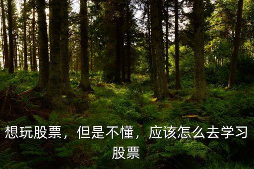 想玩股票，但是不懂，應(yīng)該怎么去學(xué)習(xí)股票