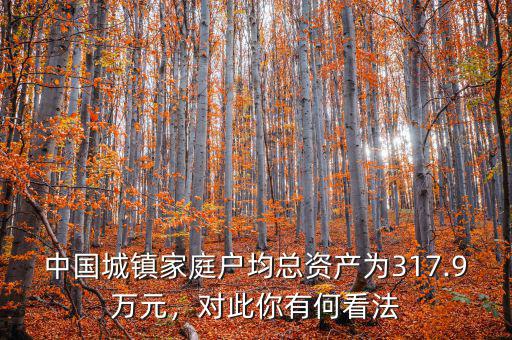 中國城鎮(zhèn)家庭戶均總資產(chǎn)為317.9萬元，對(duì)此你有何看法