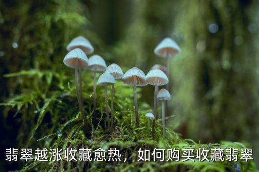 翡翠越漲收藏愈熱，如何購(gòu)買(mǎi)收藏翡翠