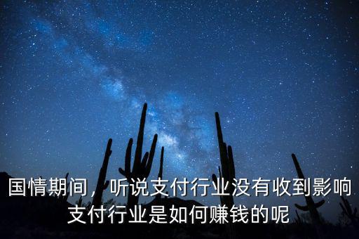 國情期間，聽說支付行業(yè)沒有收到影響支付行業(yè)是如何賺錢的呢