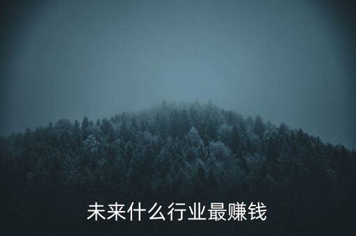 未來(lái)什么行業(yè)最賺錢(qián)
