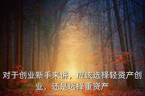 對(duì)于創(chuàng)業(yè)新手來(lái)講，應(yīng)該選擇輕資產(chǎn)創(chuàng)業(yè)，還是選擇重資產(chǎn)