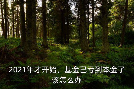 2021年才開始，基金已虧到本金了該怎么辦