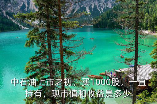 中石油上市之初，買1000股，一直持有，現(xiàn)市值和收益是多少