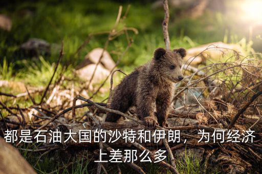 都是石油大國的沙特和伊朗，為何經(jīng)濟上差那么多