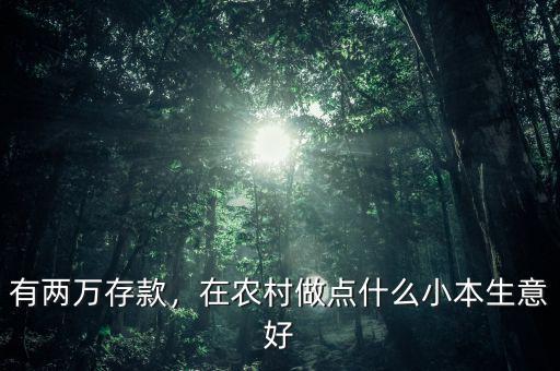 有兩萬存款，在農(nóng)村做點什么小本生意好