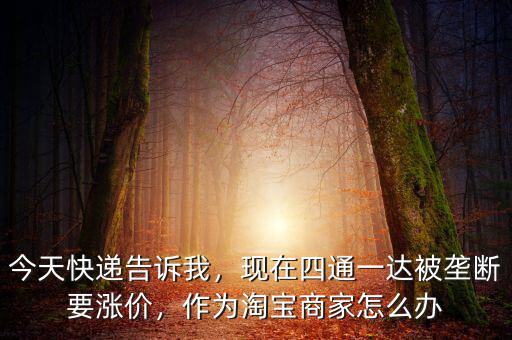 今天快遞告訴我，現(xiàn)在四通一達(dá)被壟斷要漲價(jià)，作為淘寶商家怎么辦