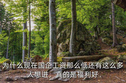 為什么現(xiàn)在國企工資那么低還有這么多人想進，真的是福利好