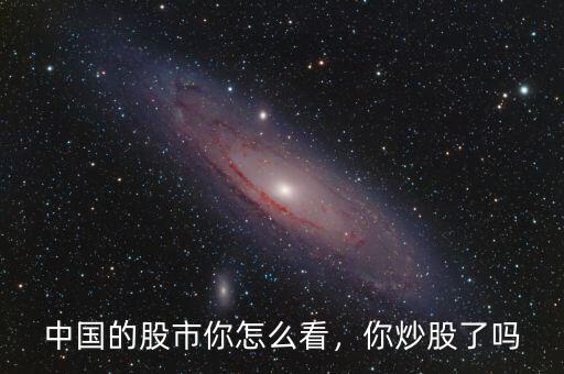 中國的股市你怎么看，你炒股了嗎