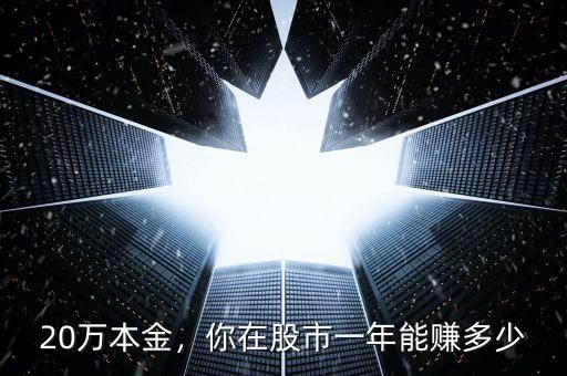 20萬本金，你在股市一年能賺多少