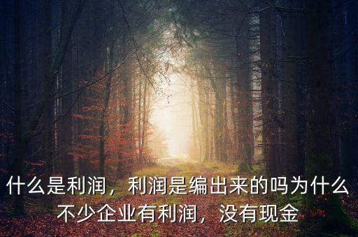 什么是利潤，利潤是編出來的嗎為什么不少企業(yè)有利潤，沒有現(xiàn)金