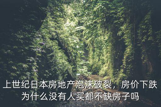 上世紀(jì)日本房地產(chǎn)泡沫破裂，房?jī)r(jià)下跌為什么沒有人買都不缺房子嗎