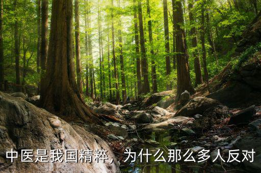 中醫(yī)是我國(guó)精粹，為什么那么多人反對(duì)