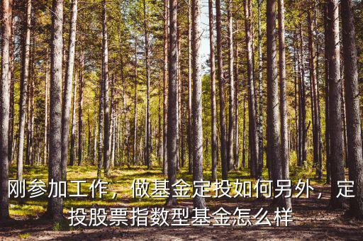 剛參加工作，做基金定投如何另外，定投股票指數(shù)型基金怎么樣