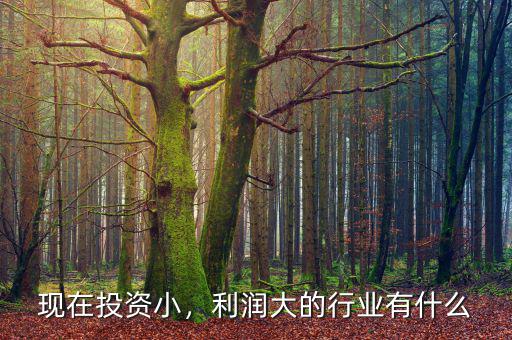 現(xiàn)在投資小，利潤(rùn)大的行業(yè)有什么