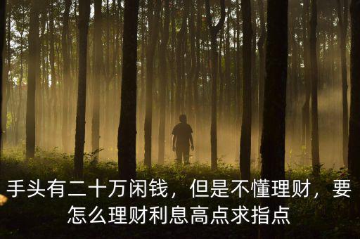 手頭有二十萬閑錢，但是不懂理財(cái)，要怎么理財(cái)利息高點(diǎn)求指點(diǎn)