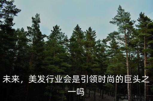 未來，美發(fā)行業(yè)會(huì)是引領(lǐng)時(shí)尚的巨頭之一嗎